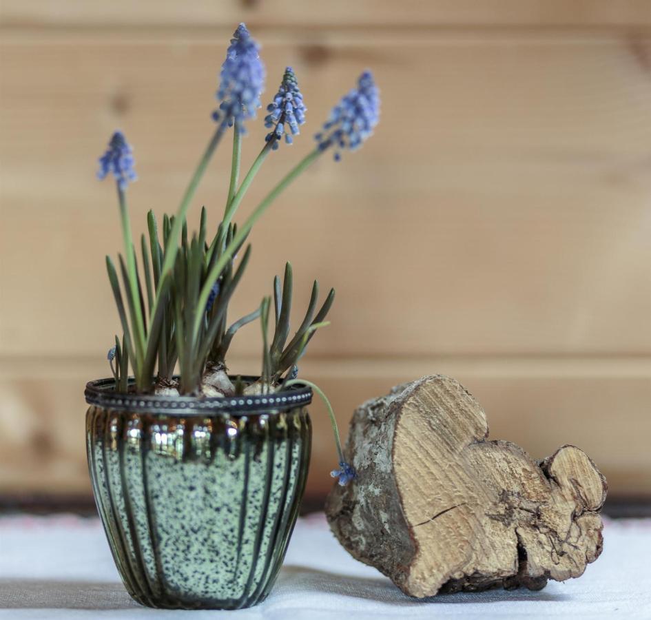 Farm stay Bauernhof Glanzern *